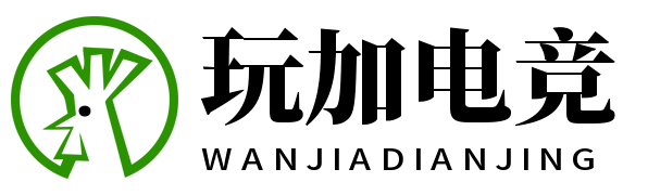 玩加电竞 玩加电竞